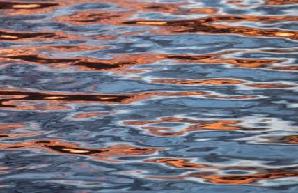 Fewo Zwergseeschwalbe - Ostsee at its best! - Foto 23