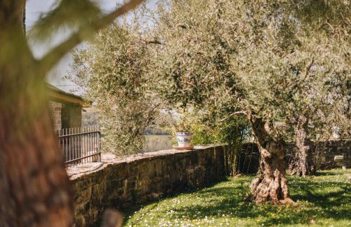 Dreamhill Meloni - Foto 26