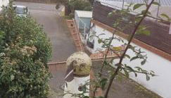 Mosel-Ina - Foto 4, Garden view