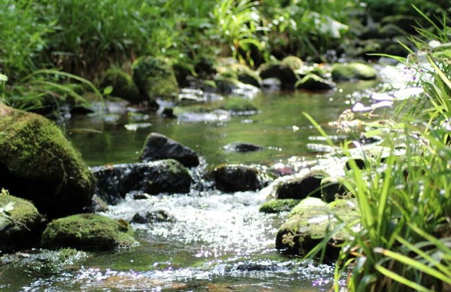 1 Fuchskreuzhof Comfortable Holiday Residence - Foto 30