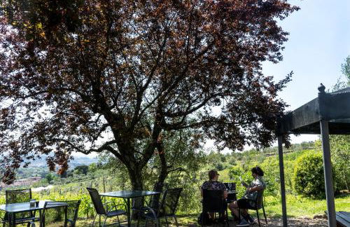 Agriturismo Biologico Poggiopiano - Foto 138