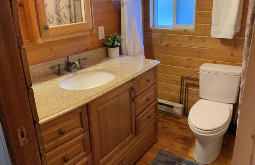 Abandoned Rail Cabin -19 miles to Breckenridge! Hot Tub! - Foto 11