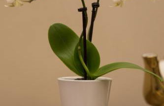 Civico Cinque Home Luxury Apartment - Foto 11