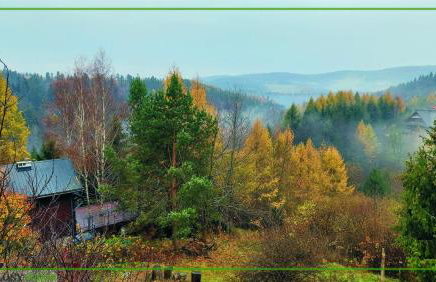 Domek Zielony Widok - noclegi Bieszczady - Foto 31