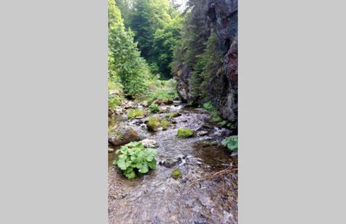 Landhaus Haid - Foto 9