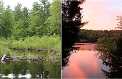 Romantic Couples' Cabin Getaway in Pittsfield, New Hampshire - Foto 12