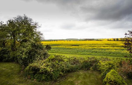 The Willows - Photo 40