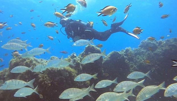 Puerto del Carmen Beginners Scuba Diving Lesson - Foto 2