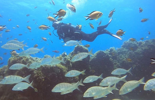 Puerto del Carmen Beginners Scuba Diving Lesson - Foto 2
