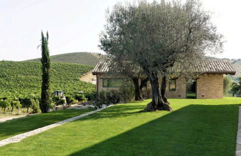 Relais Cocci Grifoni - Panoramic Wine Resort - Foto 21