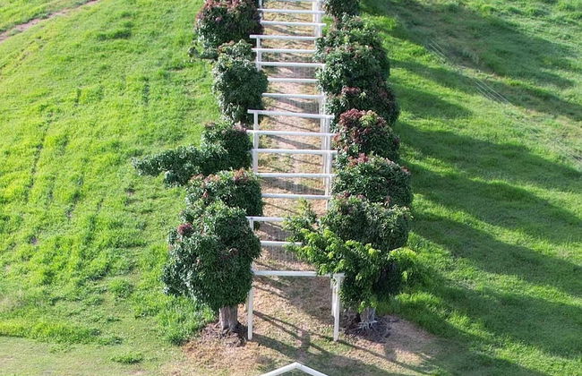 Kur Cow farm - Foto 14