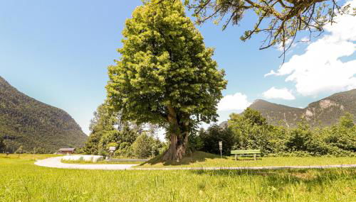Ferienwohnungen beim Silbergersee - Foto 4