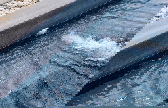 Mamaya Rental Villa El Nido - Foto 77