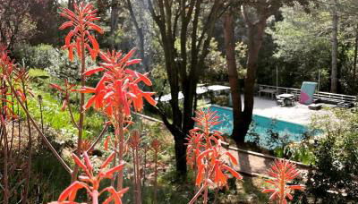 Au point du jour - Gîtes Carcassonne, Lac de la Cavayère - Foto 3, Garden, Garden view
