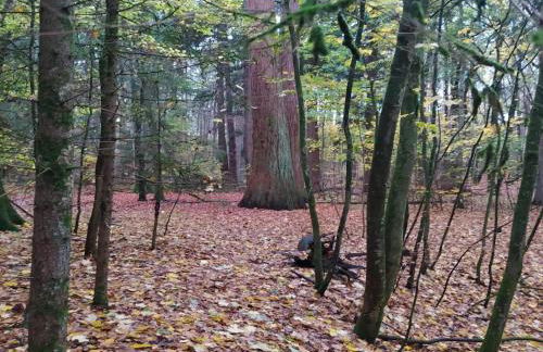 Chalet in Wendorf - Photo 33