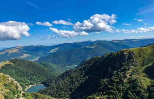 Maisonnette Alsacienne cosy - Foto 32