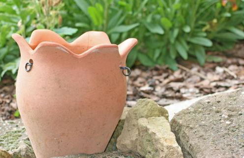 Ferienwohnungen Anneliese - Foto 20