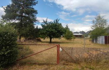 Ferienwohnung Waldglück - Foto 16