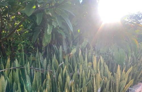 Casa Savana - Foto 45