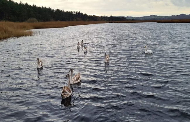 6 Person Holiday Home in Vig - Foto 39