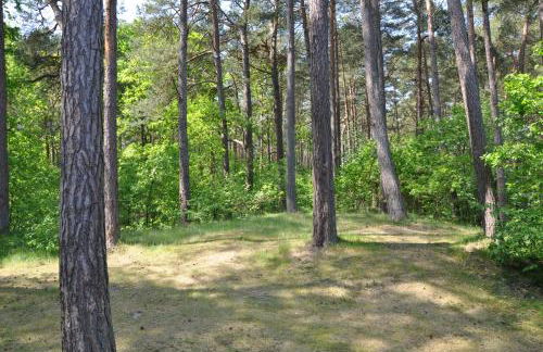 Haus Sandra - Foto 22