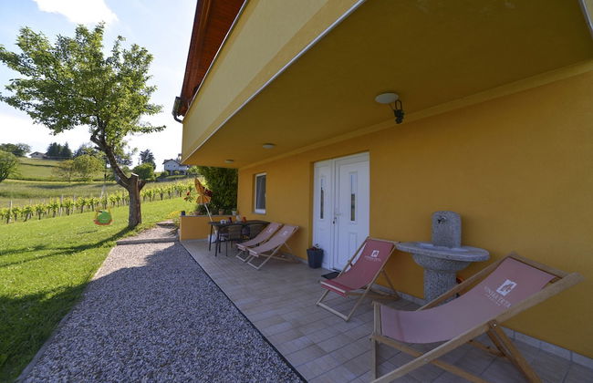 Apartments Vinska Trta - Photo 48