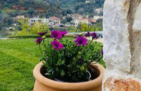 Ampelos Cretan Villa - Private Pool & Heated Ozone Jacuzzi - Photo 40