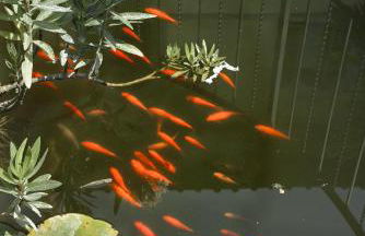 Villa Parri Residenza D'epoca - Foto 82