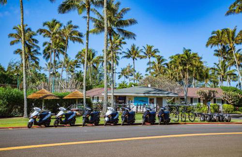 Oceanfront Vacation Villas at Turtle Bay - Foto 60