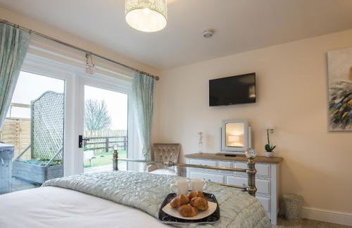 Field View - Ukc2304 - Foto 10