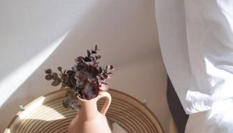 Estudio SAL - Foto 4