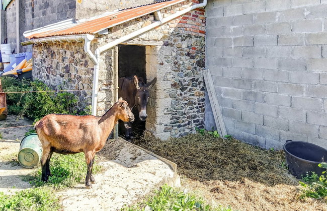 Welcoming Holiday Home in Brainville With Fenced Garden - Foto 115