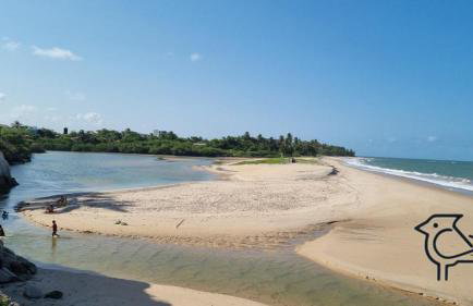 Cobertura Vista Mar Carapibus - Cariri Praia - Apartamento completo com 02 quartos - Photo 33