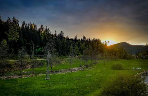 Haus Gisela - Photo 9