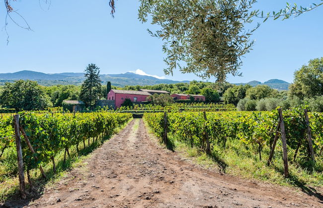 Terrazze dell'Etna - Rooms & Apartments - Foto 45