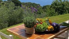 Agriturismo Terre Rosse Portofino - Foto 3