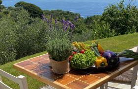 Agriturismo Terre Rosse Portofino - Foto 3