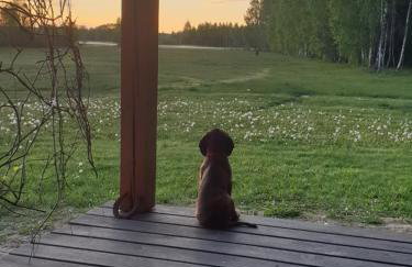 Ciche Podlasie - Foto 10