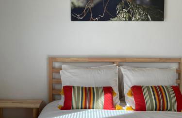 Casinha Rubiães - Foto 4