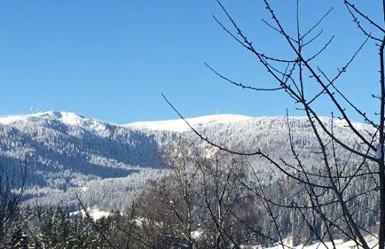 Ferienwohnung Lindenhof - Foto 30