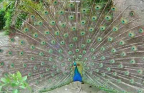 The Gate House Barn - Foto 14