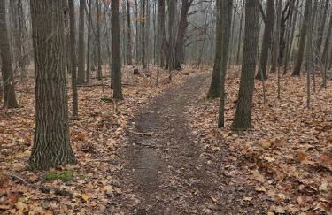 New Home with Game Room and Nature Trails in Port Huron - Photo 5
