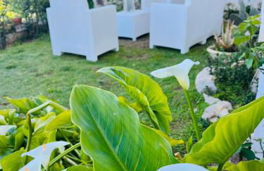 Casa Agrumeto 28 - Foto 7