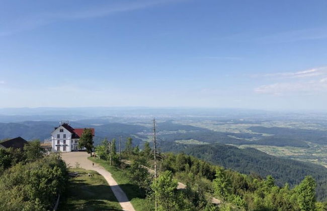 Apartment at the Edge of the Forest - Foto 31