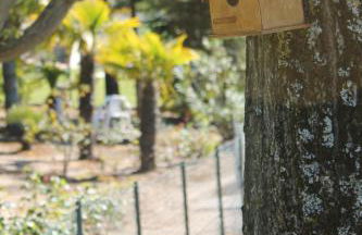 Quinta da Timpeira - Foto 27