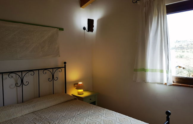 la corte degli ulivi - Foto 19