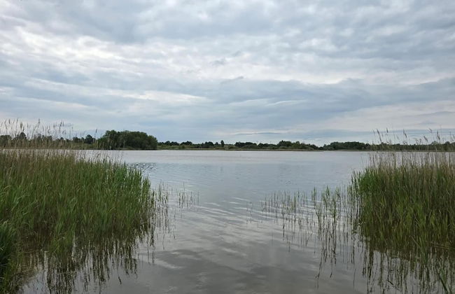 Fabulous Holiday Home in Thorstorf near Sea - Foto 30