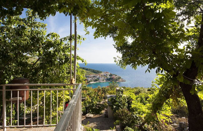 Apartments Nikica Primosten - Foto 15