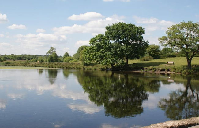 Luxury 1 bed Apartment 10 Mins to Bham City Centre - Foto 8