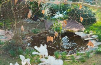 Erasmia's House - A Green Haven for Ultimate Relaxation - Foto 21